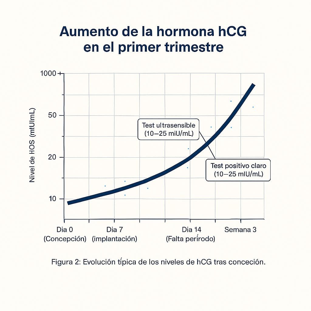 Aumento de la hormona hCG en el primer trimestre Gráfico que muestra el aumento típico de la hormona hCG (mIU/mL) desde la concepción hasta la semana 3 del embarazo. Incluye días clave, niveles hormonales y rangos de detección de pruebas de embarazo.